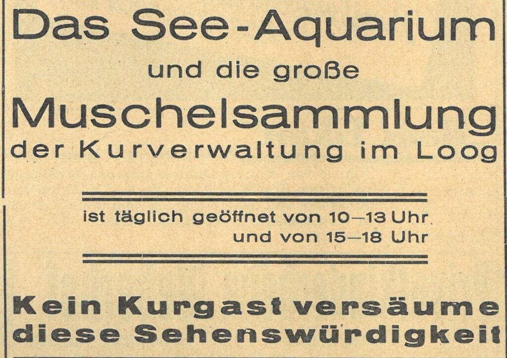 Werbeanzeige für das Museum im Seehund 1933