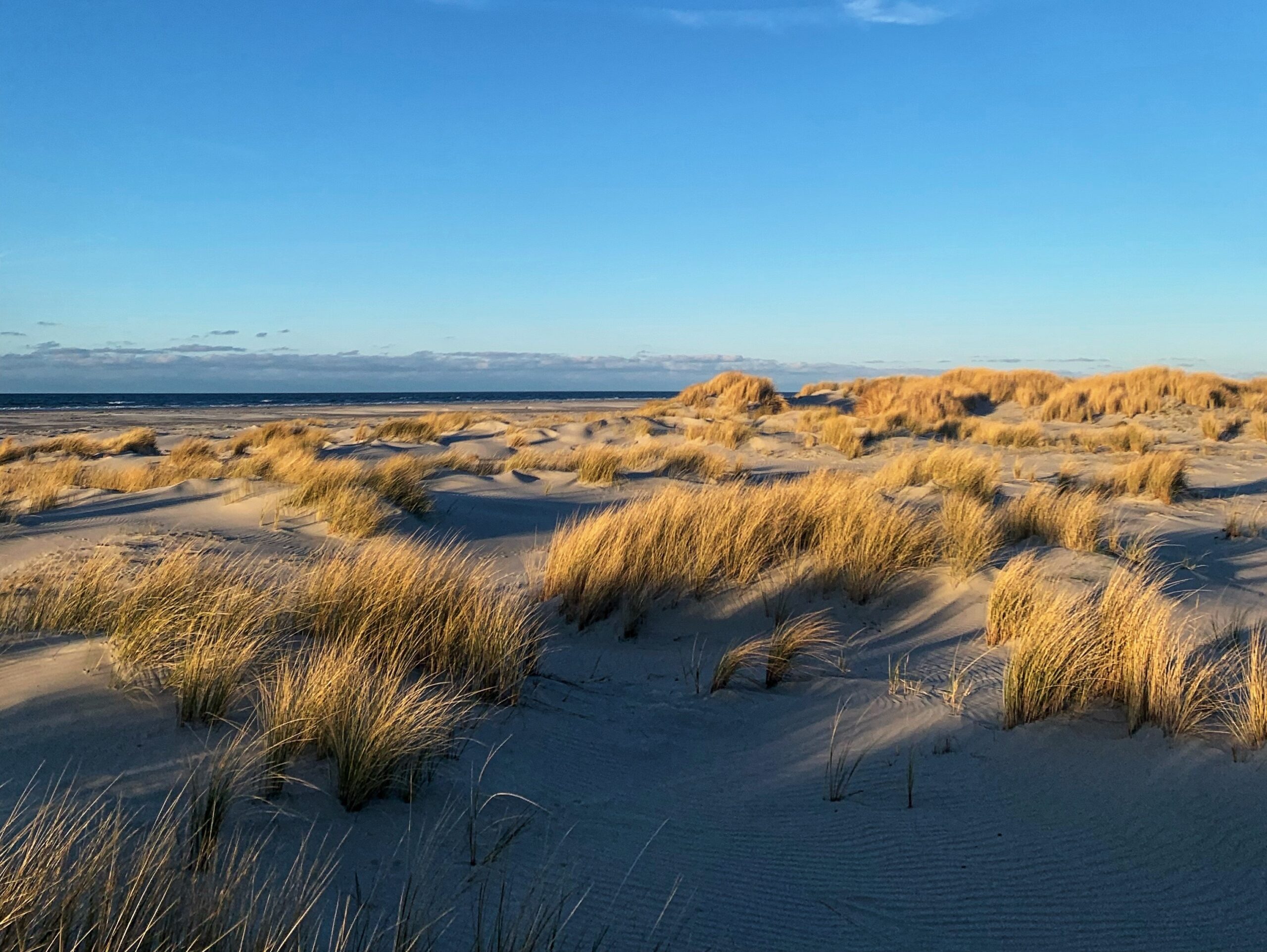 Start 1 Inselmuseum zur Geschichte von Juist in der Nordsee